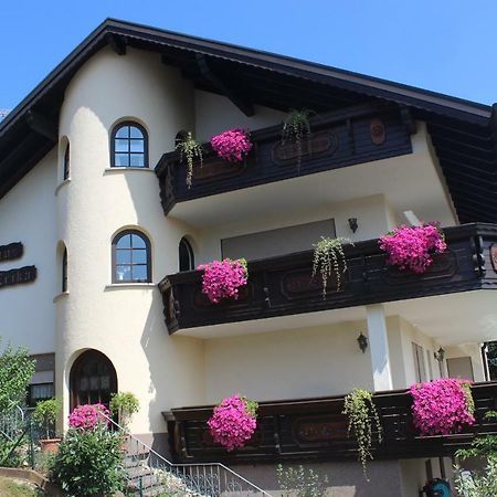 Pension Haus Erika Stadtprozelten Exteriér fotografie