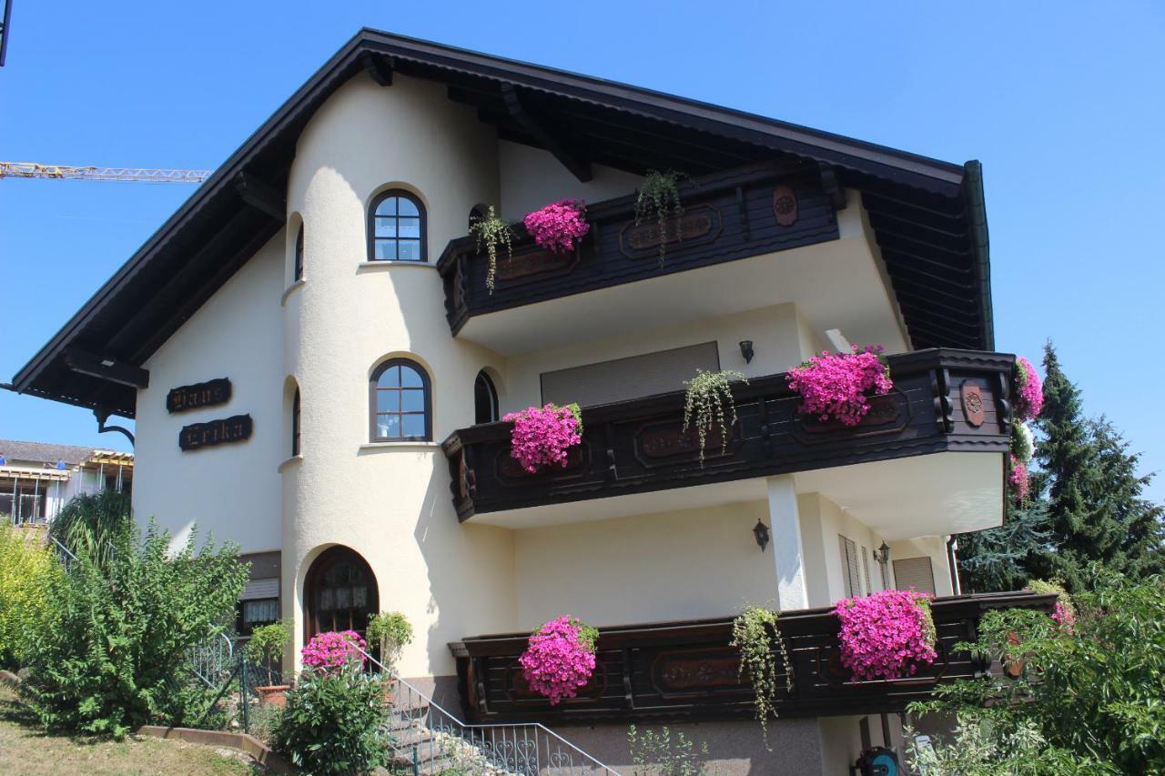 Pension Haus Erika Stadtprozelten Exteriér fotografie